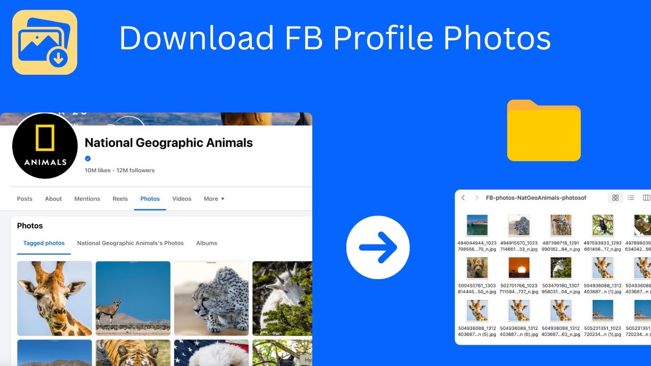 How to download Facebook profile photos?