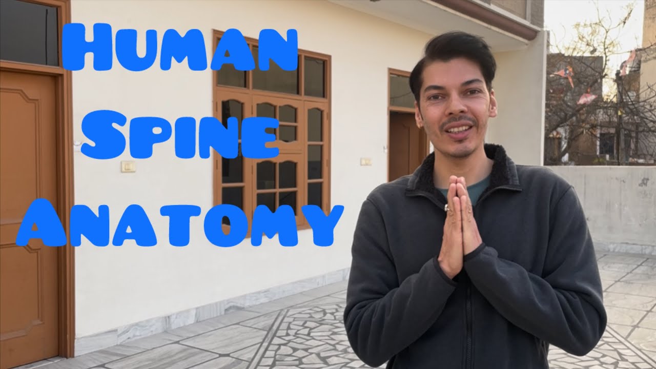 Spine anatomy. #spine #anatomy #youtube #viral #viralvideo #video #yt #content #creation #avkapov 