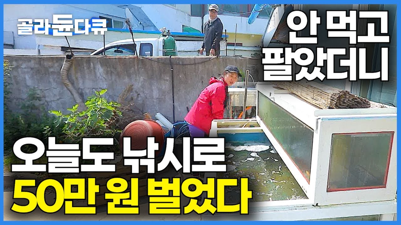 집에다 횟집 수조 놓고 통통배 한 척 사서 바다로 귀어 한지 6개월 차 초보 어부! 오늘도 돈 벌어 갑니다｜바다에서 꺼낸 물고기 안 먹고 팔았더니｜한국기행｜#골라듄다큐