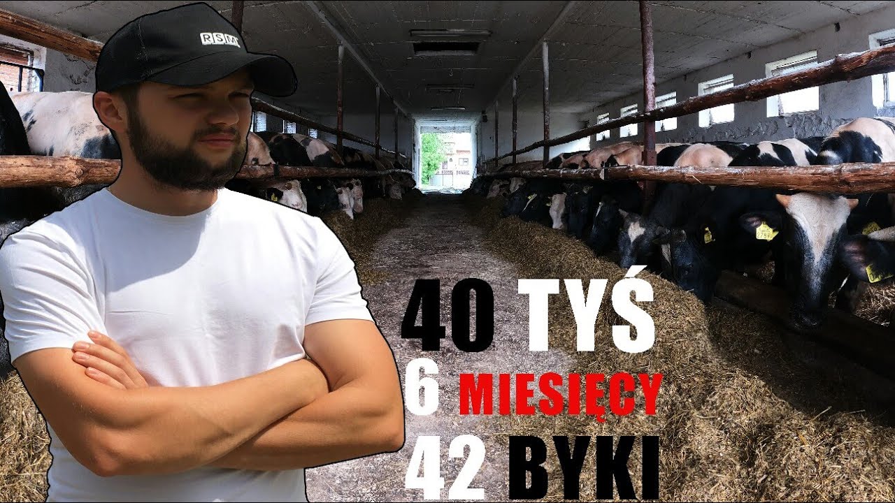 ILE KOSZTUJE OPAS BYDŁA ?  ANALIZA KOSZTÓW ZA 6 MIESIĘCY