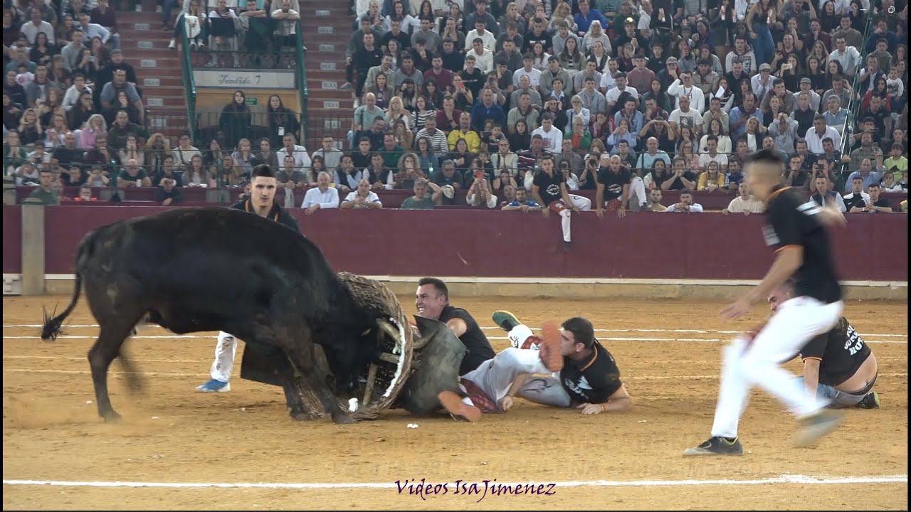 Concurso de roscaderos Zaragoza 11/10/2024 - PINSORO/VALAREÑA - HD