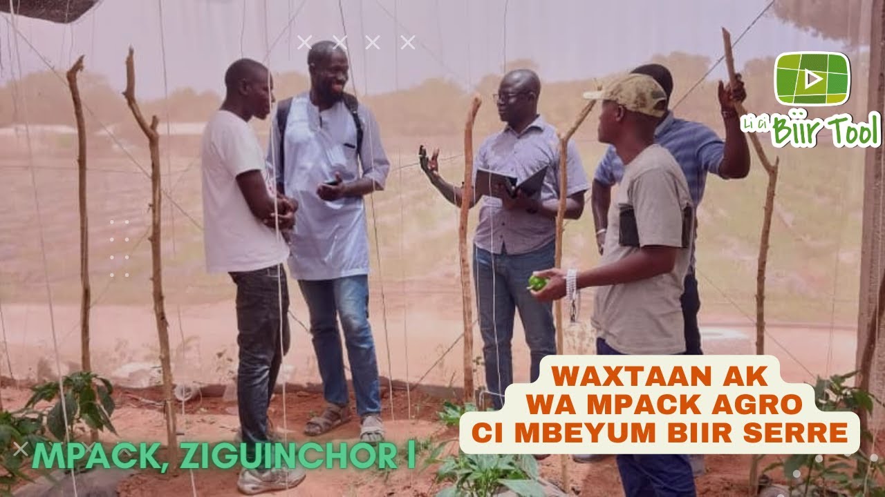 LI CI BI TOOL Waxtaan ak MPACK AGRO ci mbeyum serre