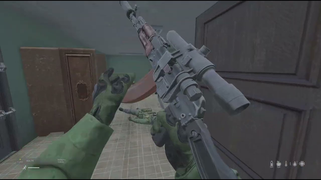 DayZ