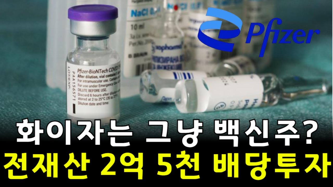 미장 화이자로 1억모으기 장투하는 이유 배당금은? 현재 4500만원