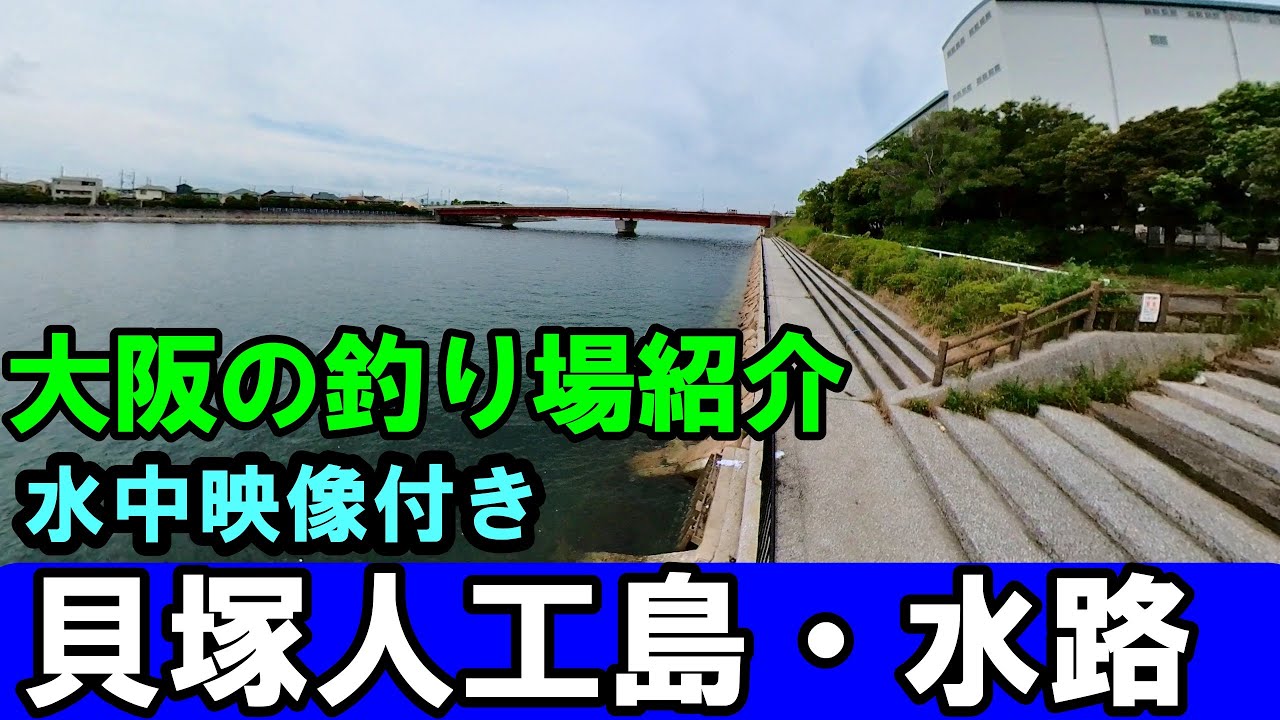 【大阪の海釣り】貝塚人工島・水路の釣り場を水中映像付きで紹介します。
