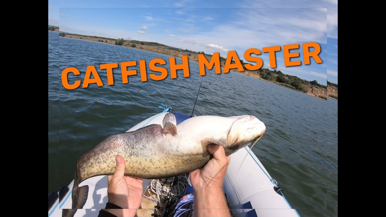 Lowrance Elite FS BEST sonar for catfish ( clonk fishing )