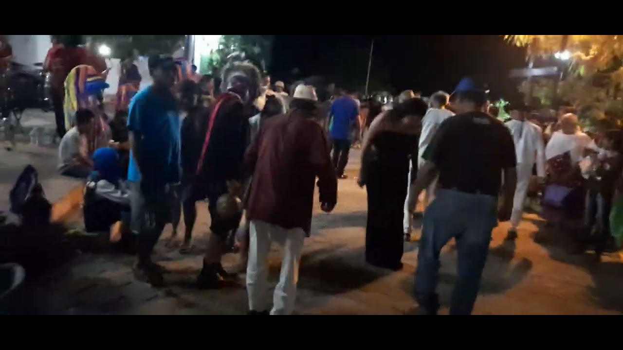 Fandango Indígena en Pinotepa de Don Luis 22 de noviembre 2024