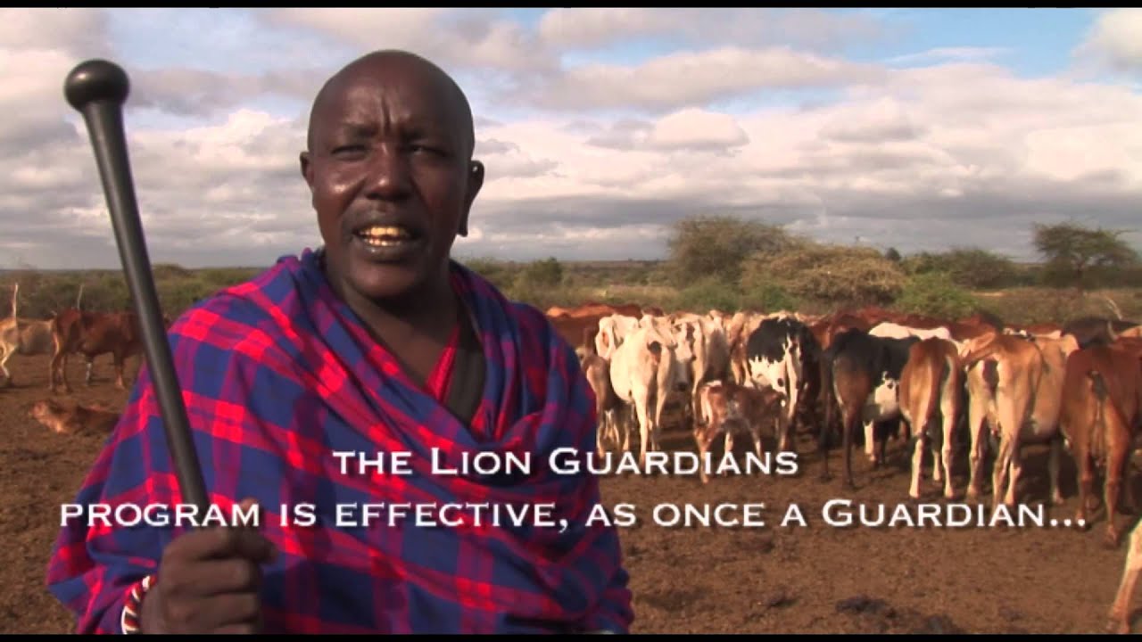 Lion Guardians - Swahili audio with English Subtitles