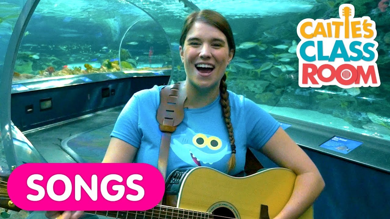Sing The Baby Shark Song With Real Sharks At The Aquarium!