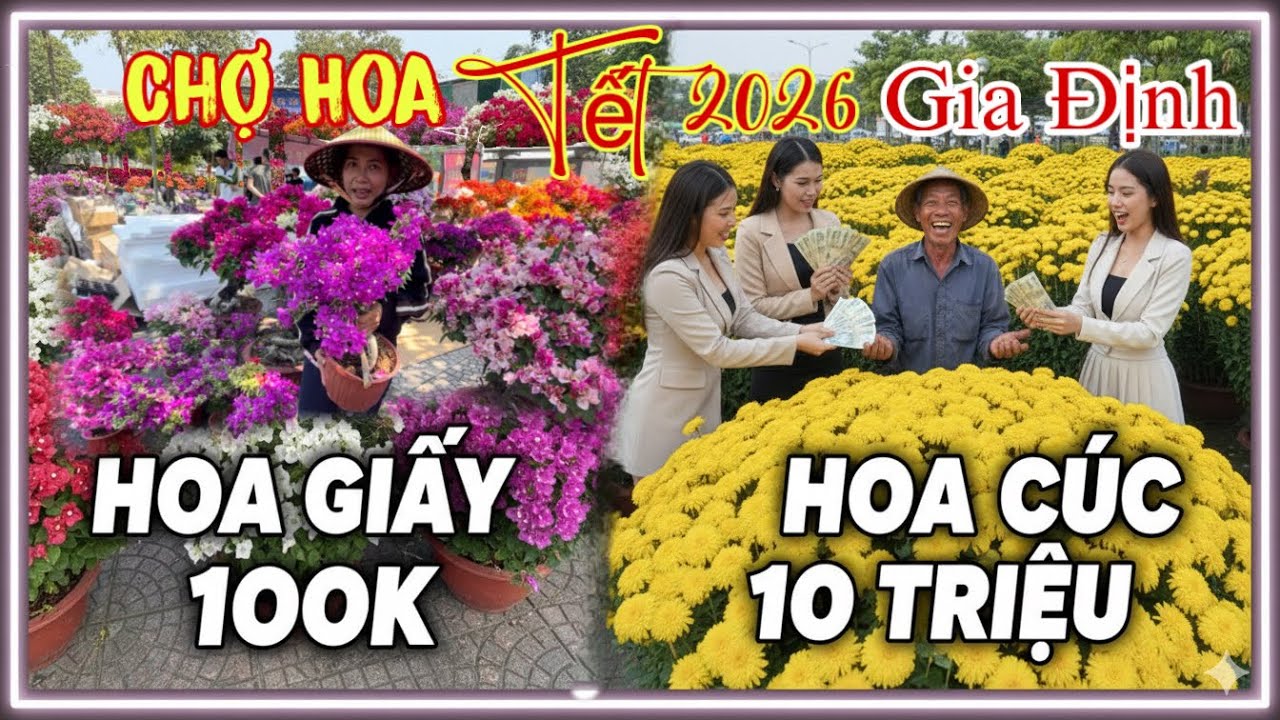 Tưng bừng Chợ Hoa Tết 2026 hoa giấy giá rẻ 100k cúc mâm xôi, cúc đại Gò Vấp khách chốt liên tục tại