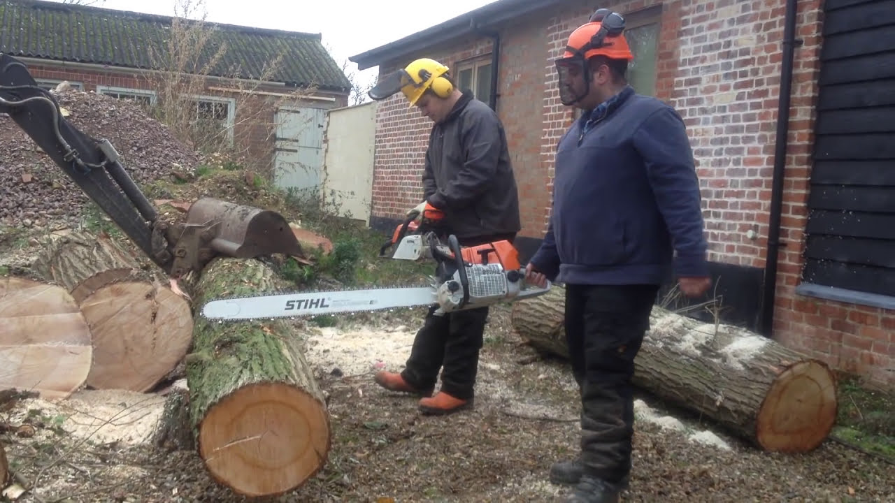 Stihl MS 181 vs Stihl MS 660