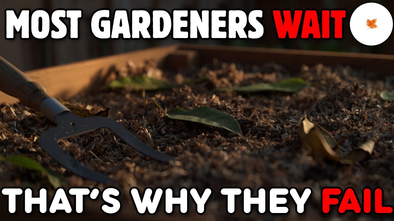 Your Garden Year Starts Now, Not in Spring