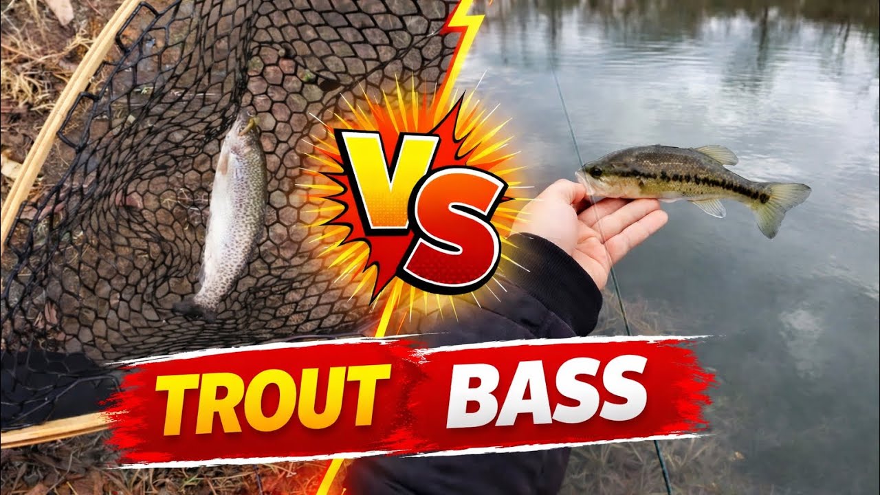 Fishing for TROUT and BASS using Ultralight Tackle