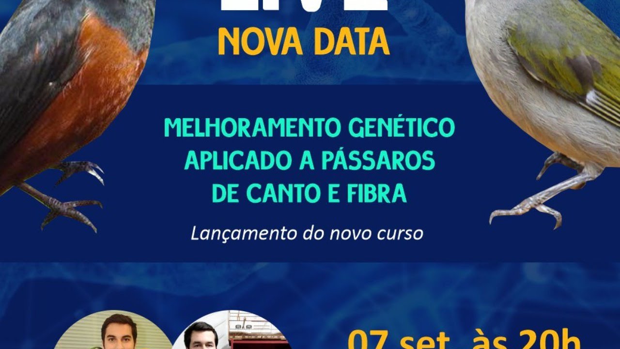 Live Melhoramento Genético Aplicado a Pássaros de Canto e Fibra