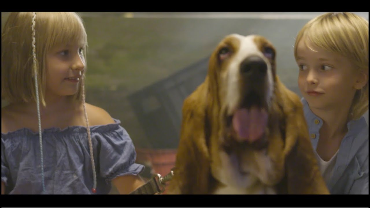 MAM PLAN (2020)  - Official Video