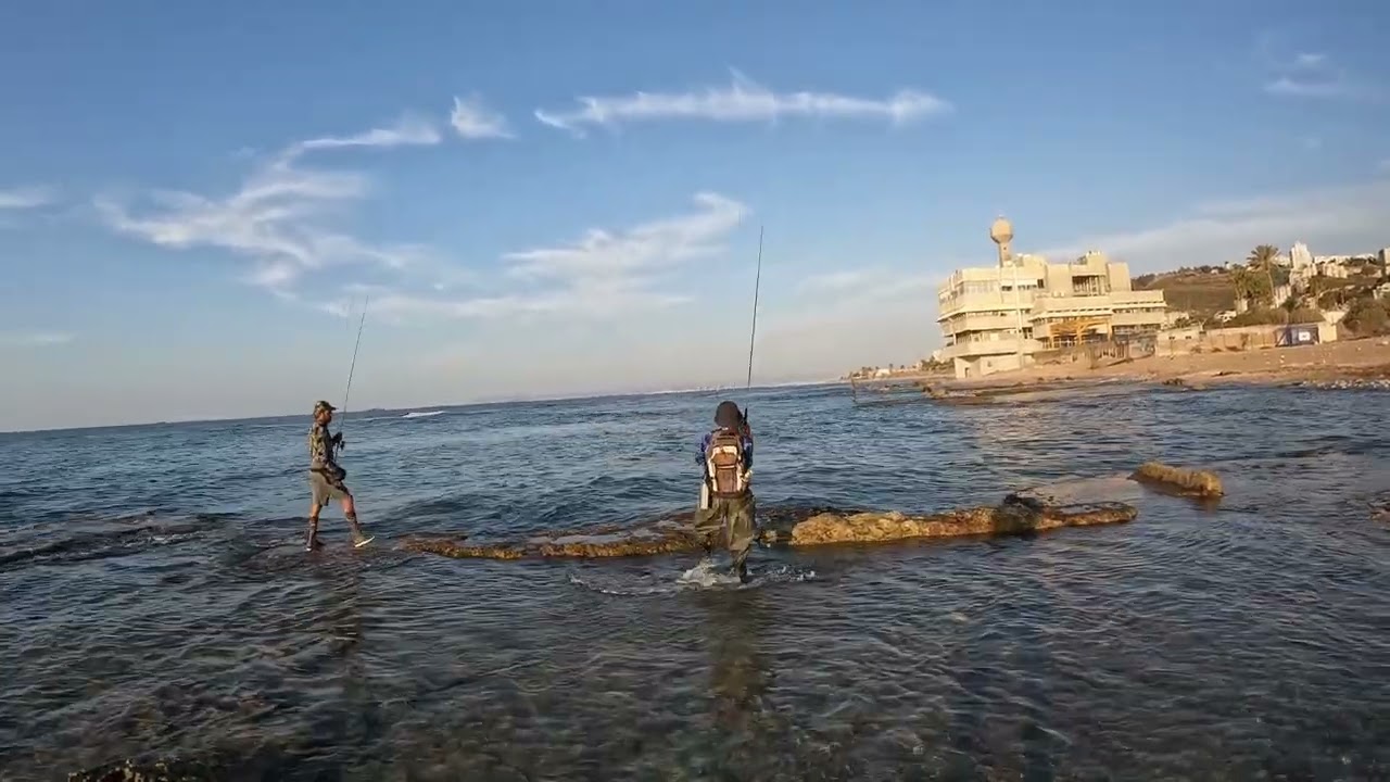 Exploring a popular fishing spot in Haifa, Israel. I found a sea slug
