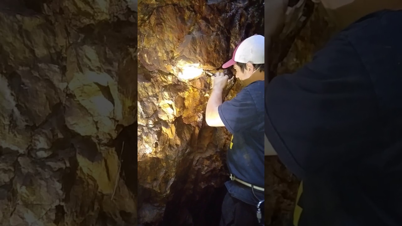 Collecting gold ore in ontario