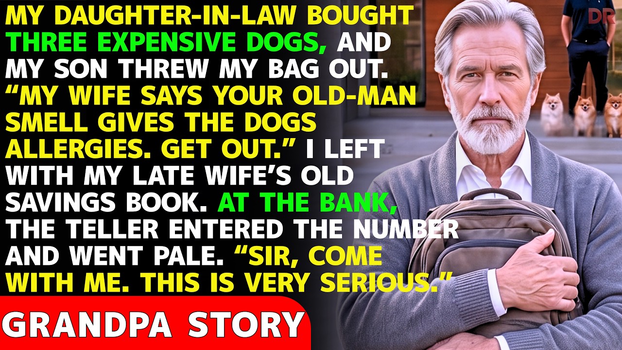 My Son Kicked Me Out For His Wife&rsquo;s 3 Dogs&mdash;I Took an Old Savings Book To The Bank&mdash;Everyone Went Pale