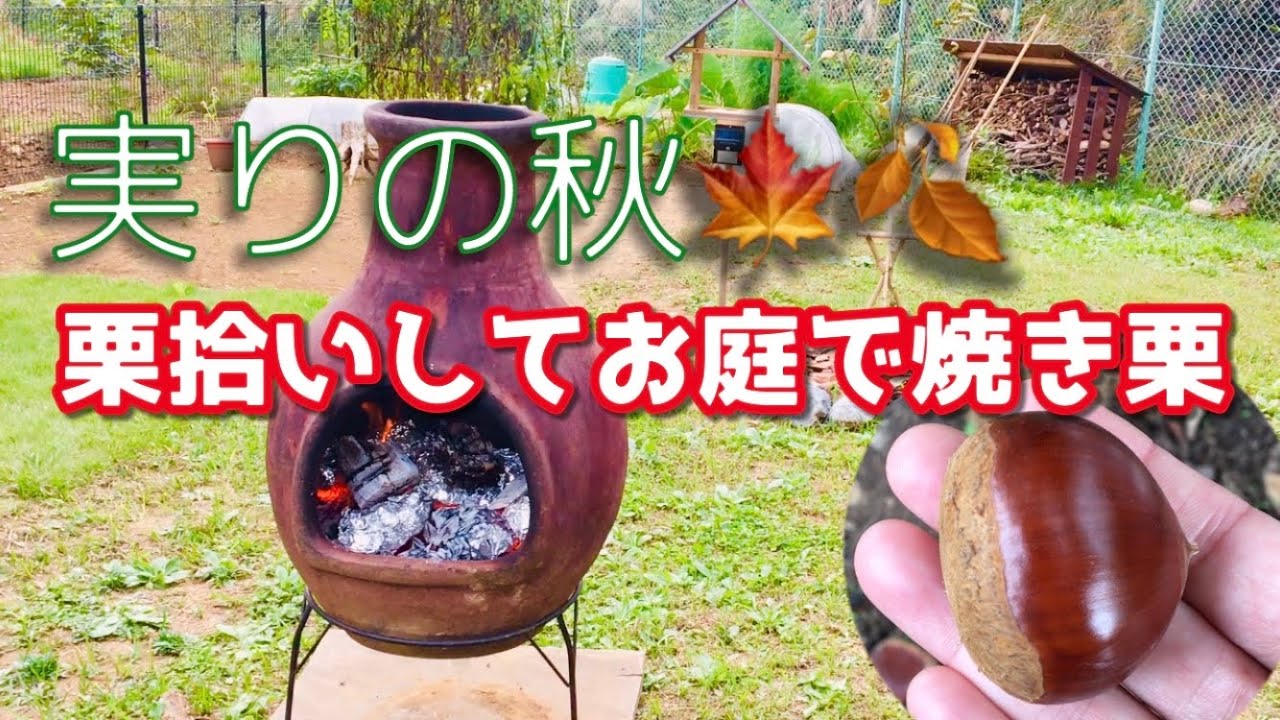 【秋を味わう】栗拾いしてお庭で焼き栗♪【まったり】
