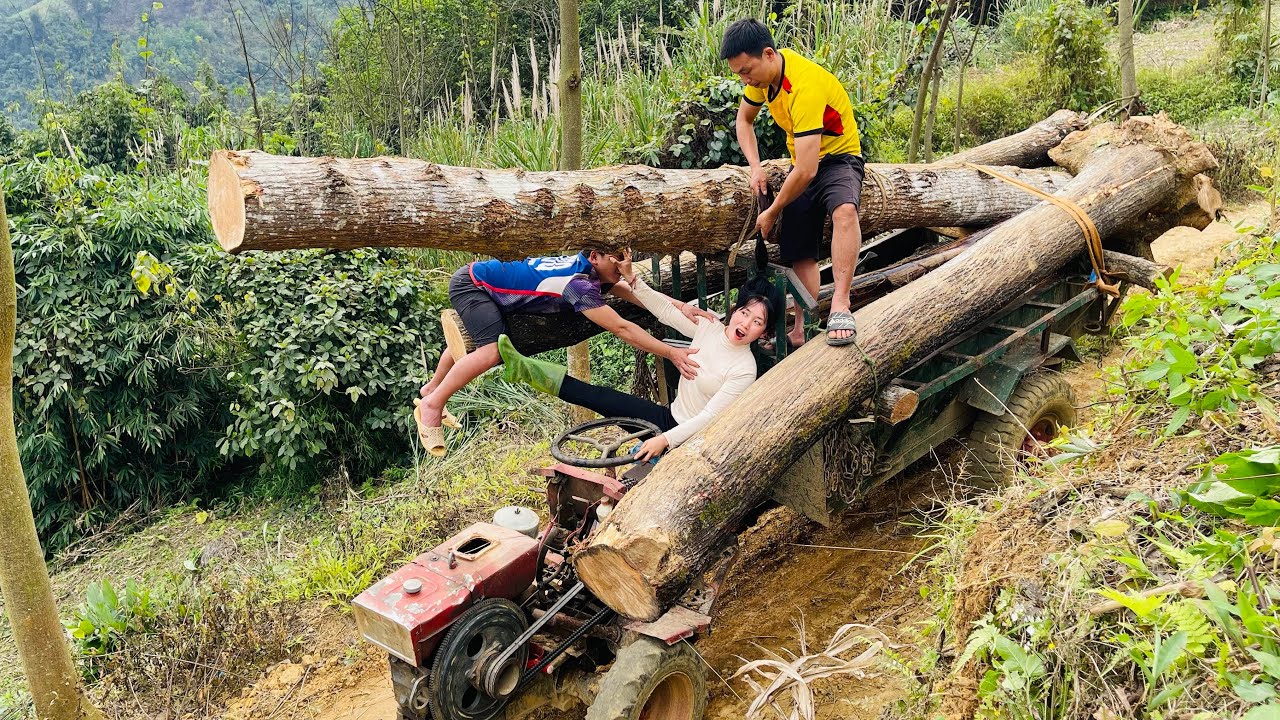 Agricultural vehicle transporting wood, rural girl