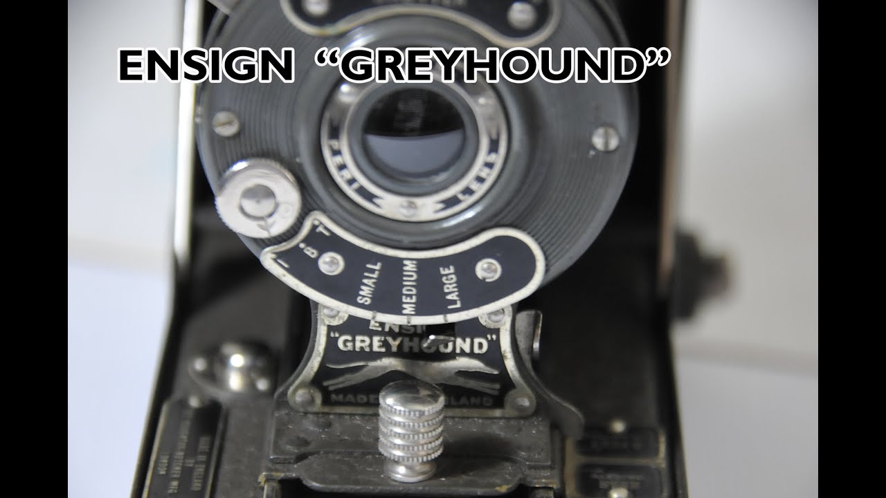 Ensign Greyhound