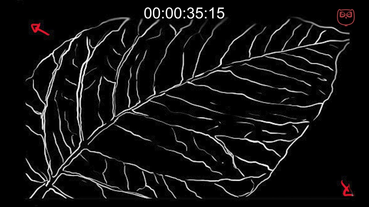 Storyboard for Product Launch Video for Diageo India's Epitome Reserve Whisky