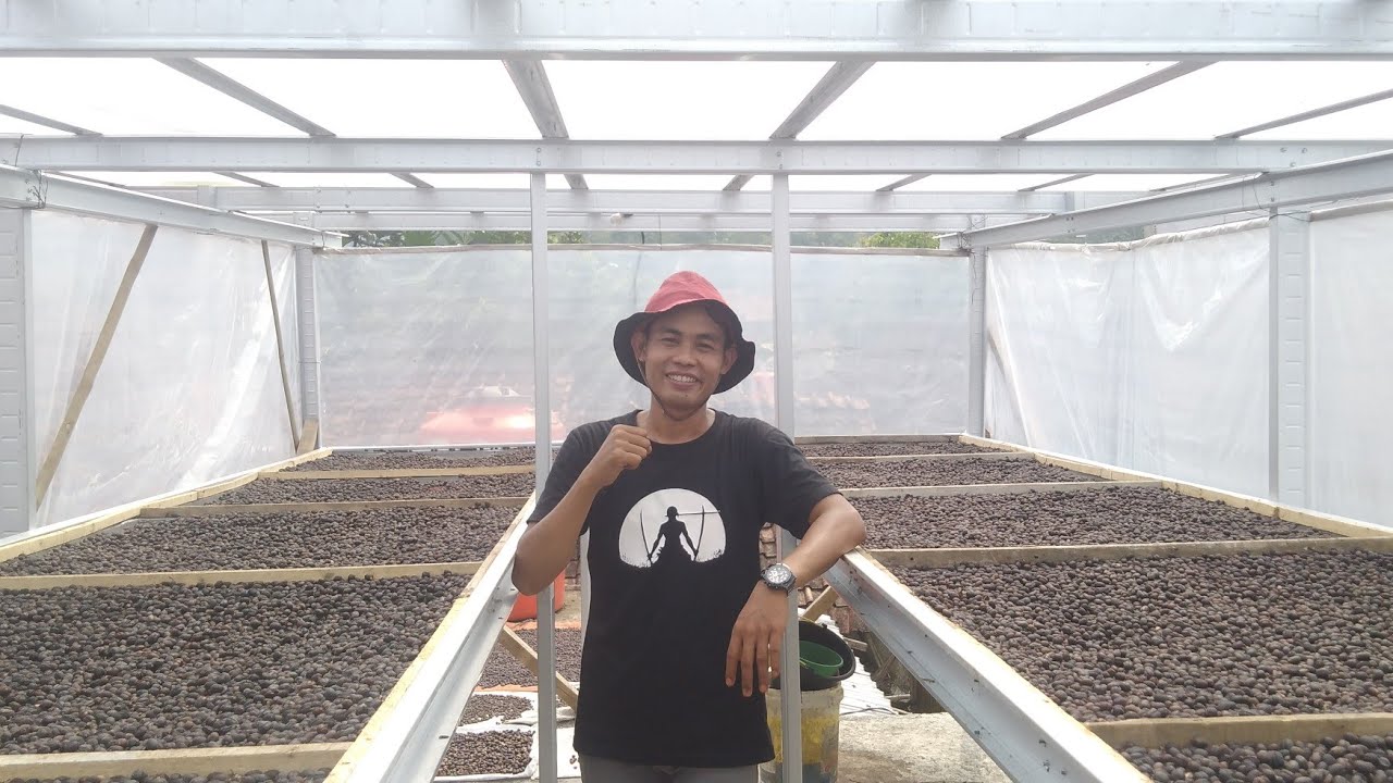 Rumah Jemur Kopi By RoedyCoffee 085877485006