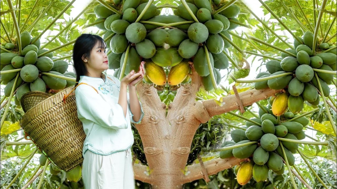 VIDEO FULL: 150 Days Build Garden- Harvest papaya and catch wild crabs to bring to the market