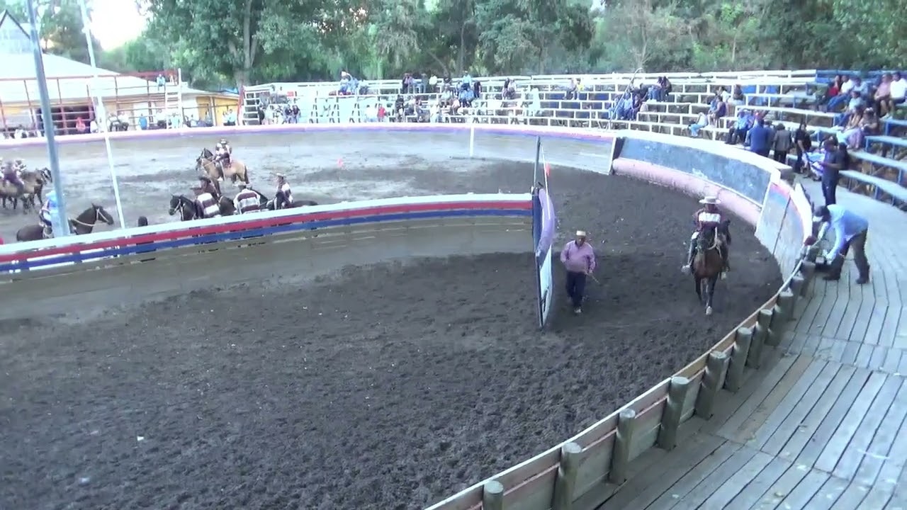 Rodeo provincial especial en serie libre club rió choapa 14 y 15 de febrero del 2026.Serie Campeones