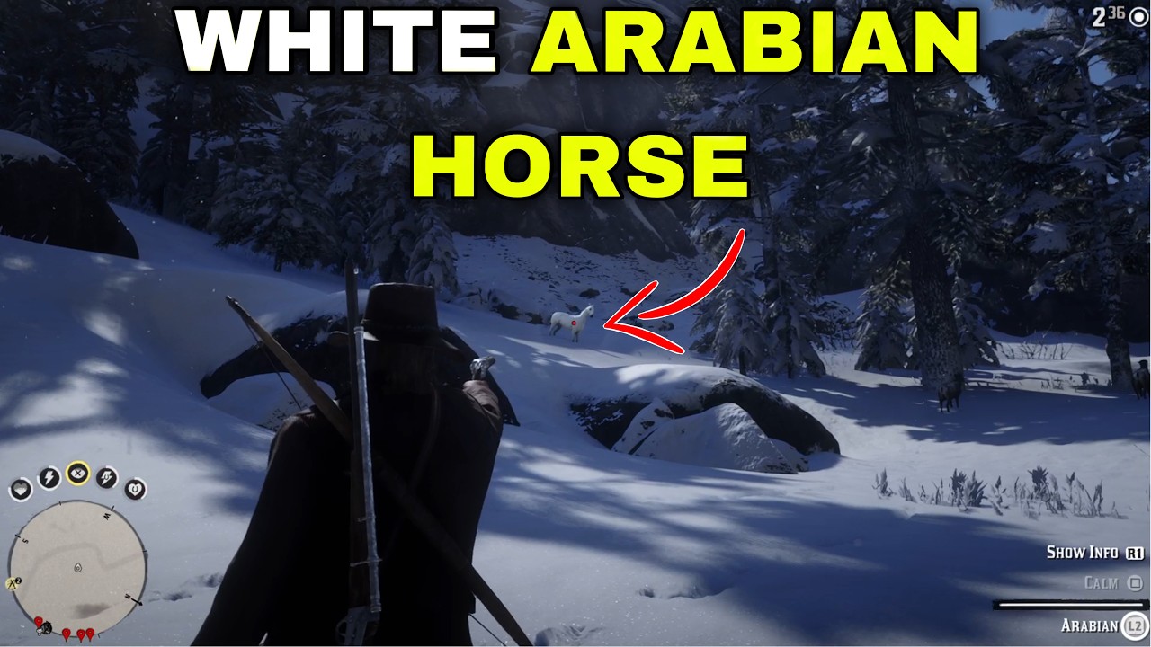 ‏How to Get the White Arabian Horse FAST in Red Dead Redemption 2 (2026 Guide – PS5, PS4, PC)