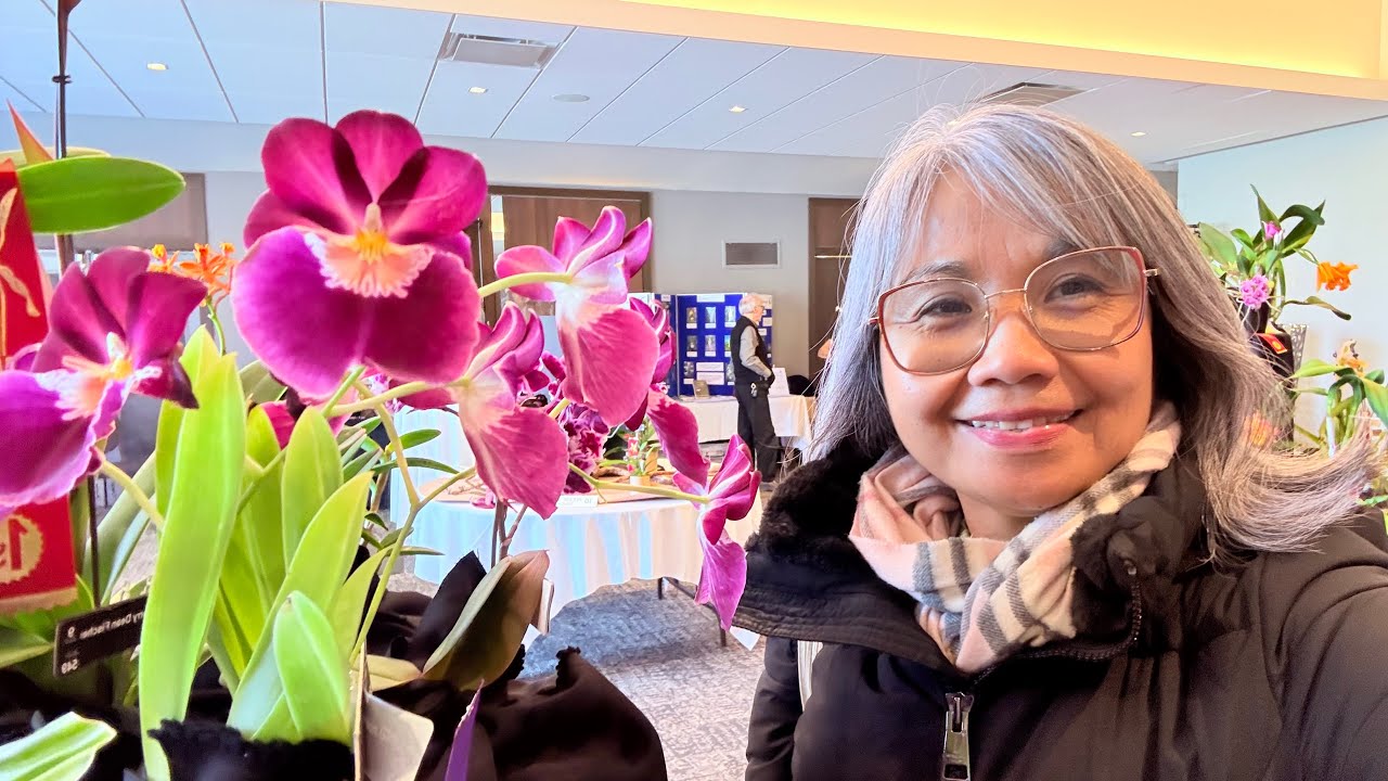 Ежегодная весенняя выставка орхидей в Манитобе