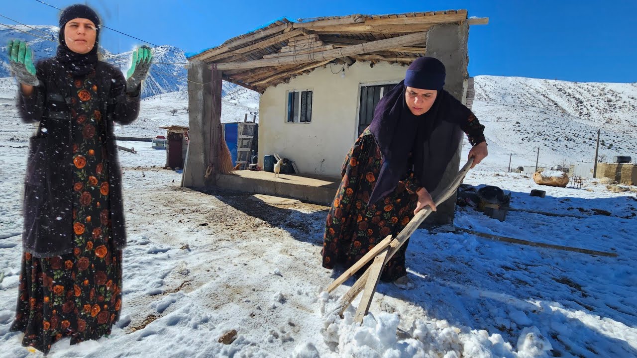 Zarigel: A Flame of Courage in the Winter Snow#zari