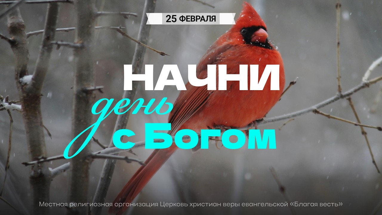 Начни день с Богом (25.02.2026) - Церковь «Благая весть онлайн»