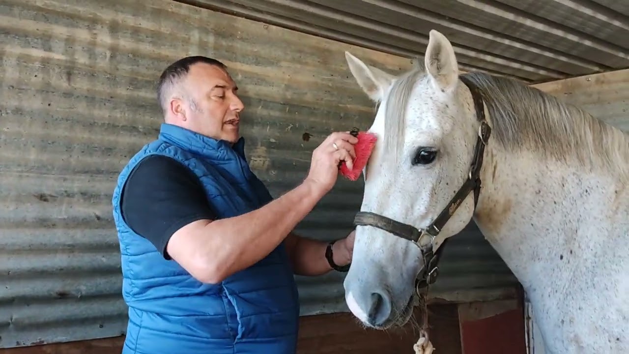 JACAS......PORQUÉ....?