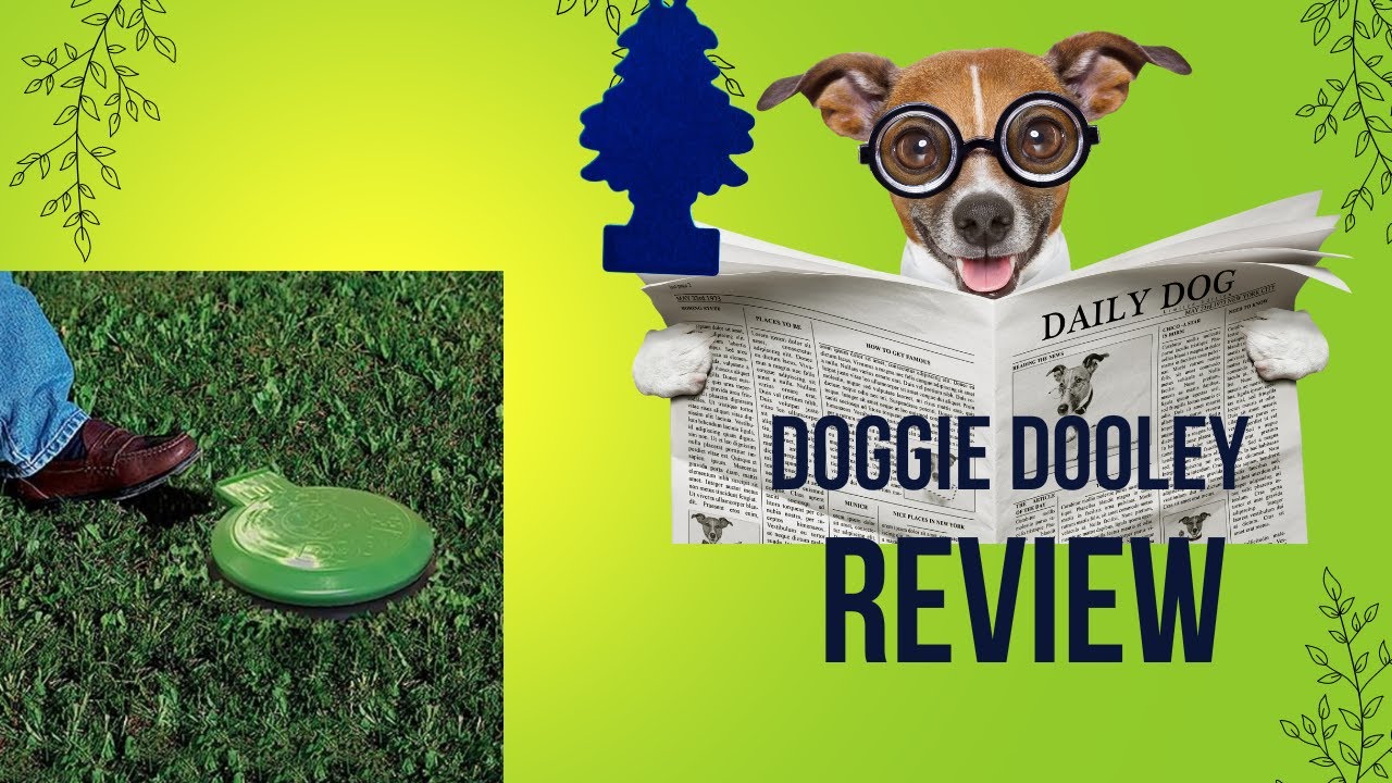 The Doggie Dooley: The best way to manage dog 💩