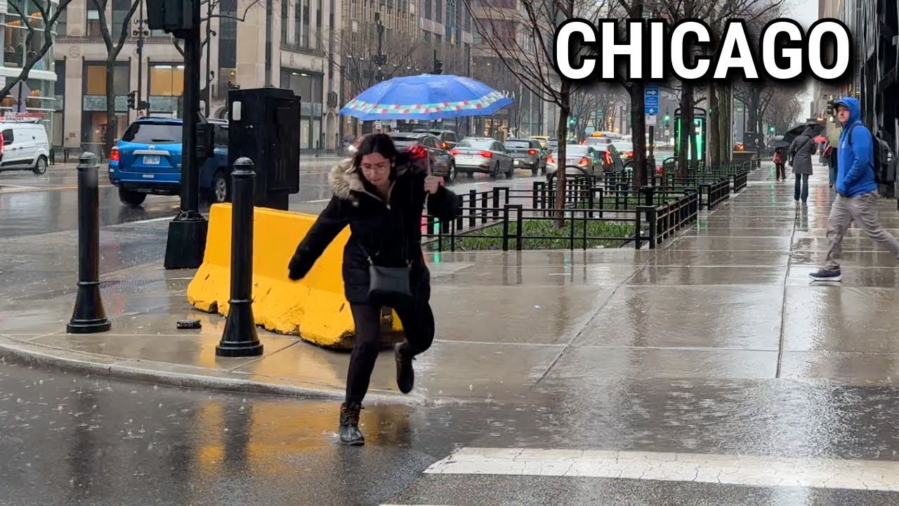 Chicago Rain Walk ☔️ Sound of Rainfall & Windy Breeze on Wednesday | March 2, 2025 | 4K 60fps