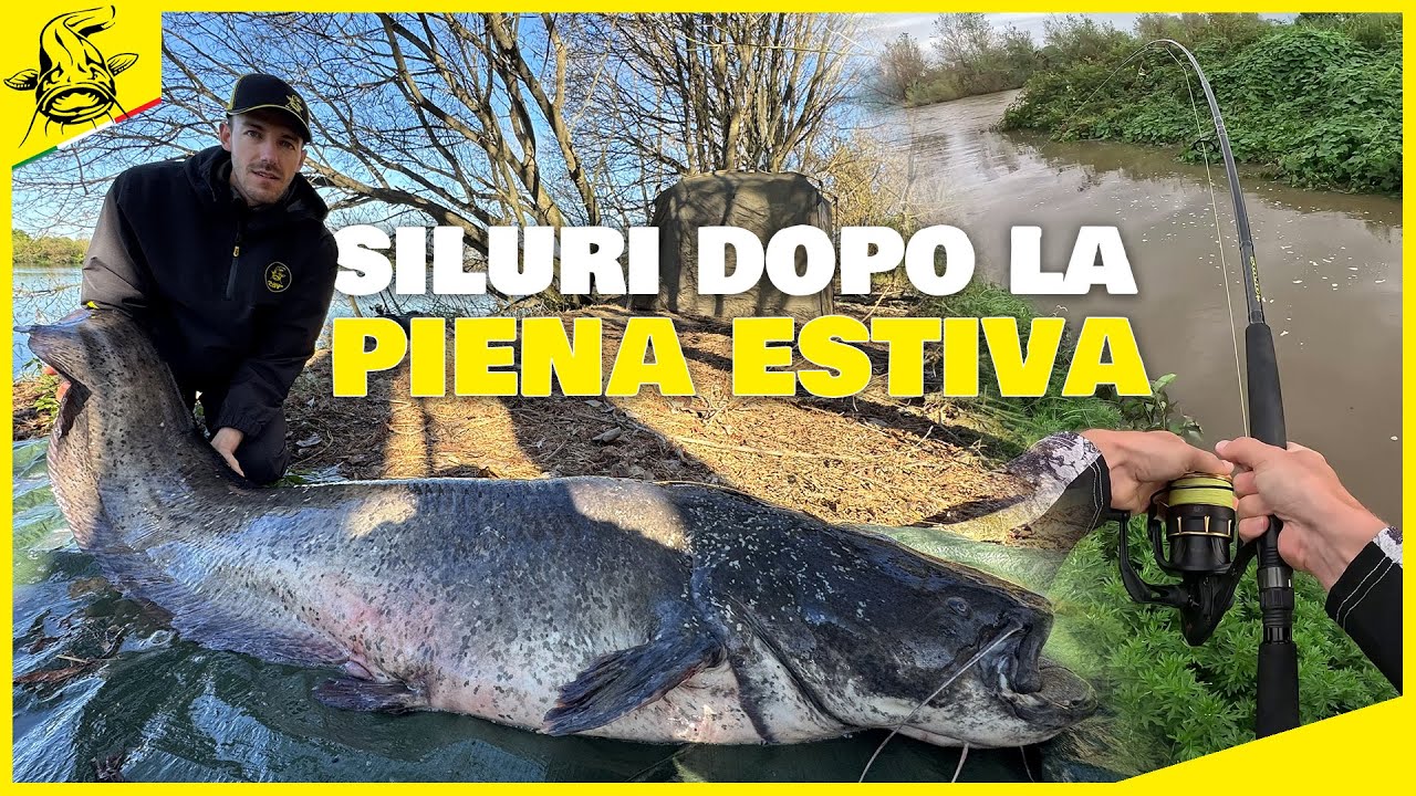 PESCA AI SILURI durante la PIENA di fine estate!