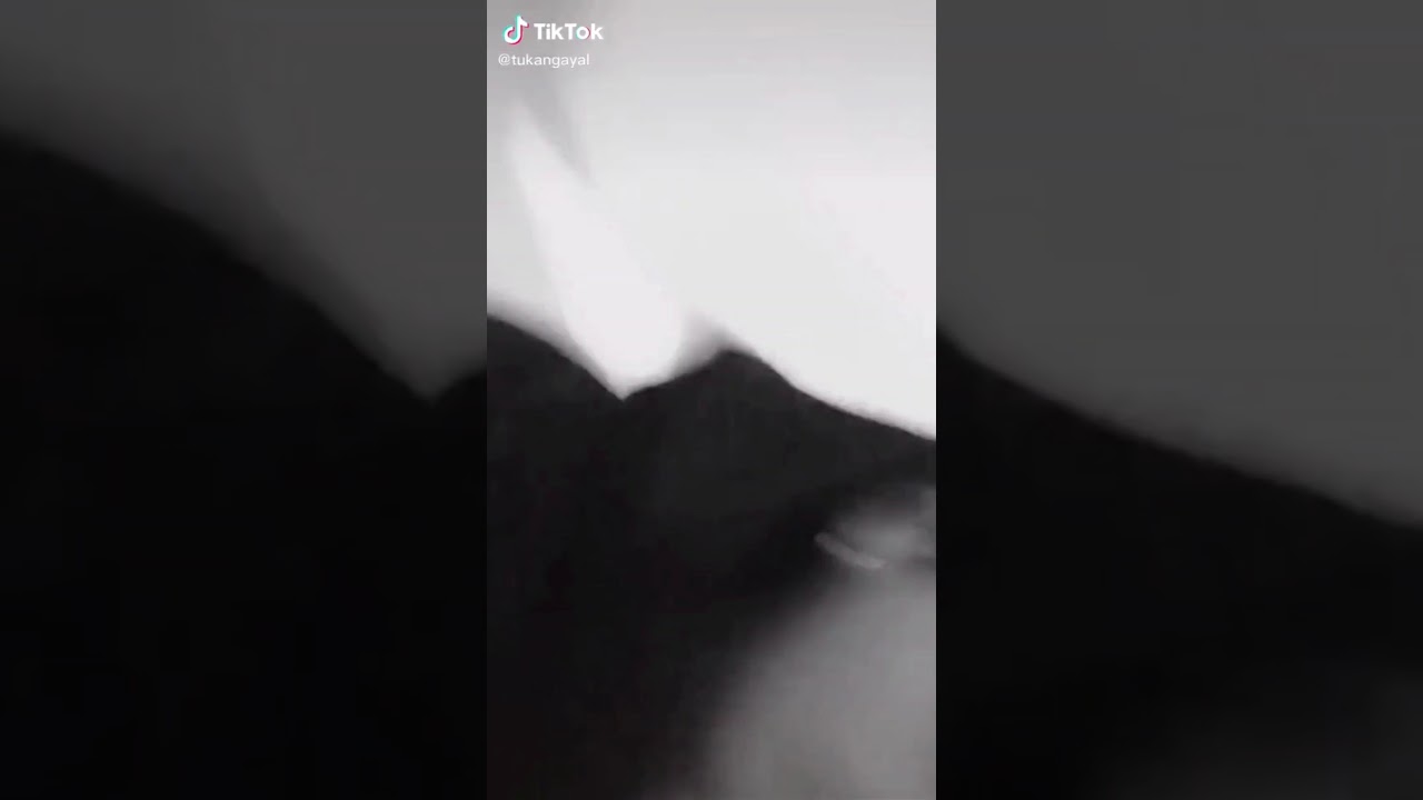 halu jimin😂