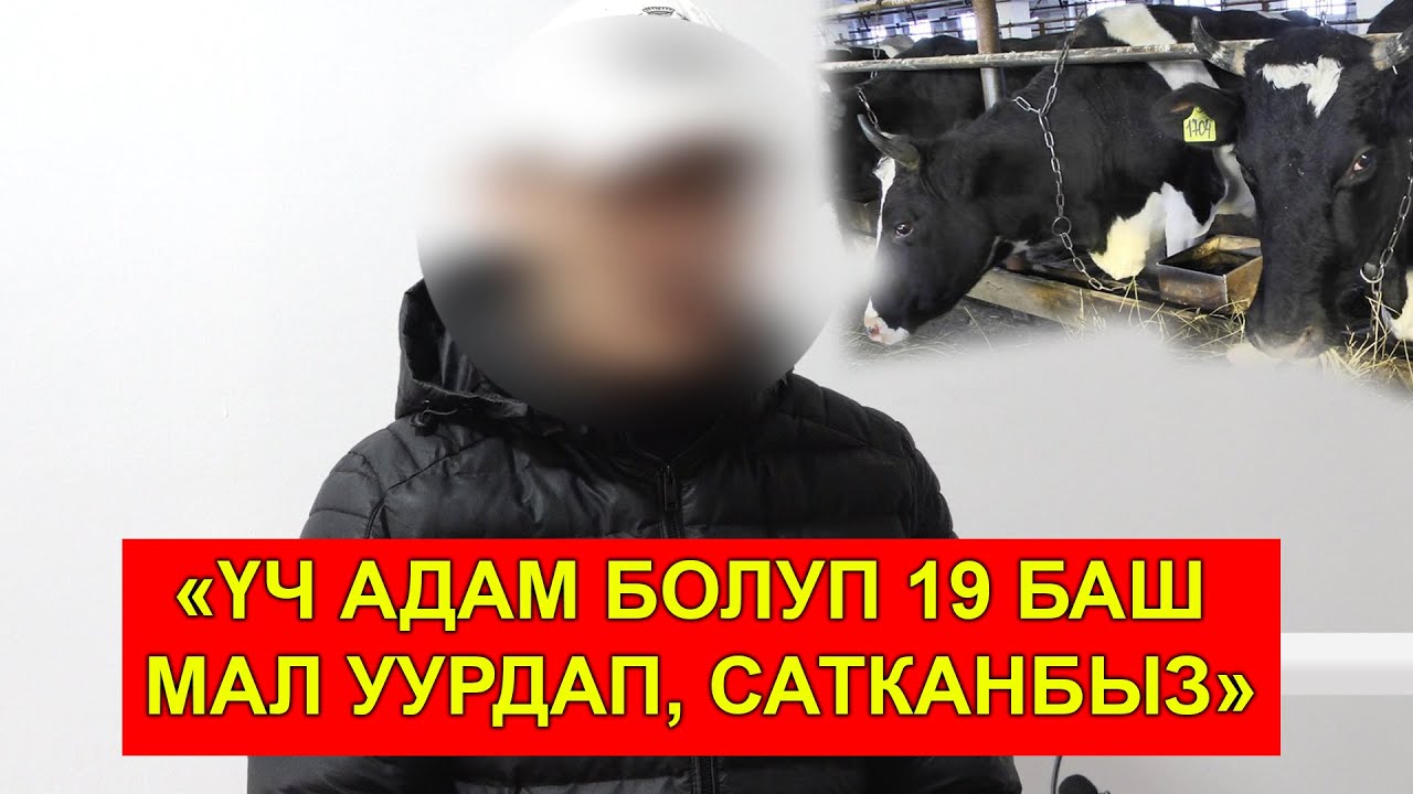МАЛ УУРДАГАНДАР КАРМАЛДЫ