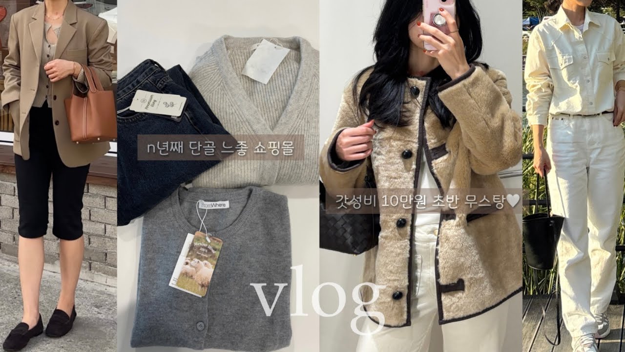 vlog|갓성비 겨울 아우터 추천(feat. 자라,h&m), 느좋 쇼핑몰 쇼핑 하울🛍️, 두부면 팟타이 식단 레시피|데일리룩|코스|젠틀몬스터|망고매니플리즈|디애퍼처|데일리백