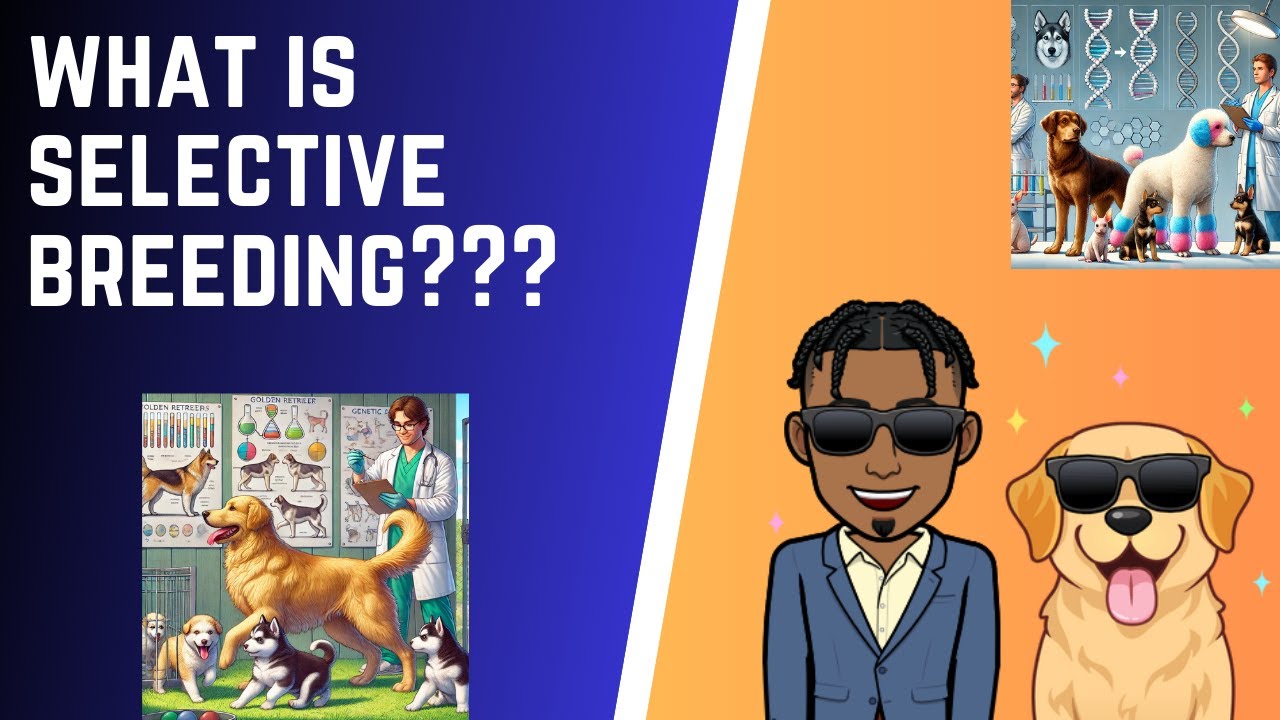 What is Selective Breeding?