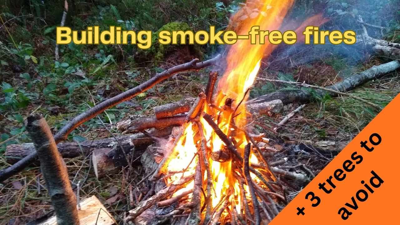 Firewood to avoid -  Bushcraft & Forest School Guide