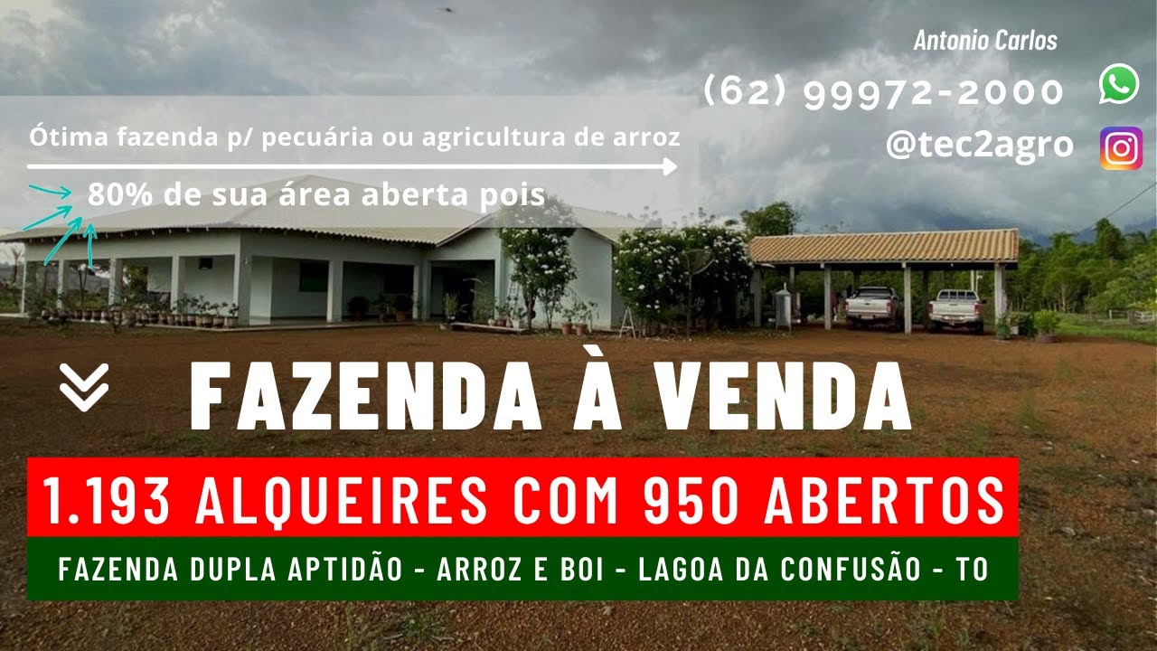 [🎑DUPLA APTIDÃO🐄]Fazenda a venda no Tonantins 1193 Al Lagoa da Confusão TO[Arroz Gado]#fazendaavenda