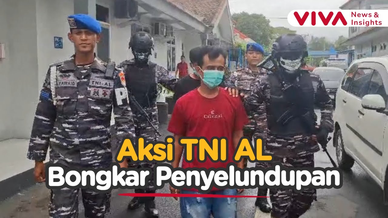 Gagalkan Penyelundupan Benur, TNI AL Amankan 85 Ribu Ekor Senilai Rp731 Juta