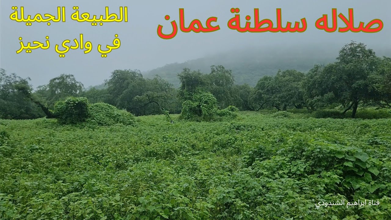 وادي نحيز صلاله