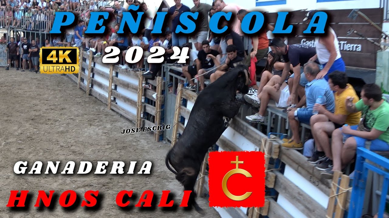 ✅👍4K PEÑISCOLA 2024 HNOS CALI