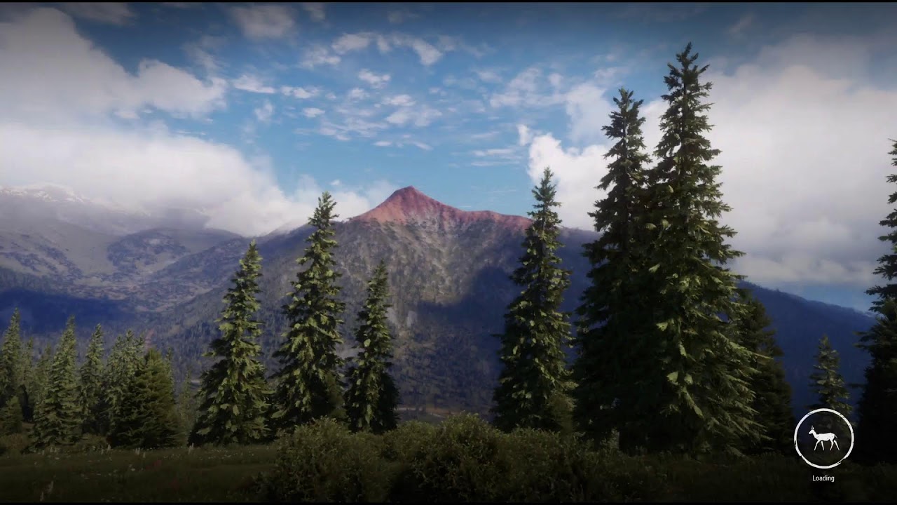 HUNTER CALL OF THE WILD LIVE GAMEPLAY