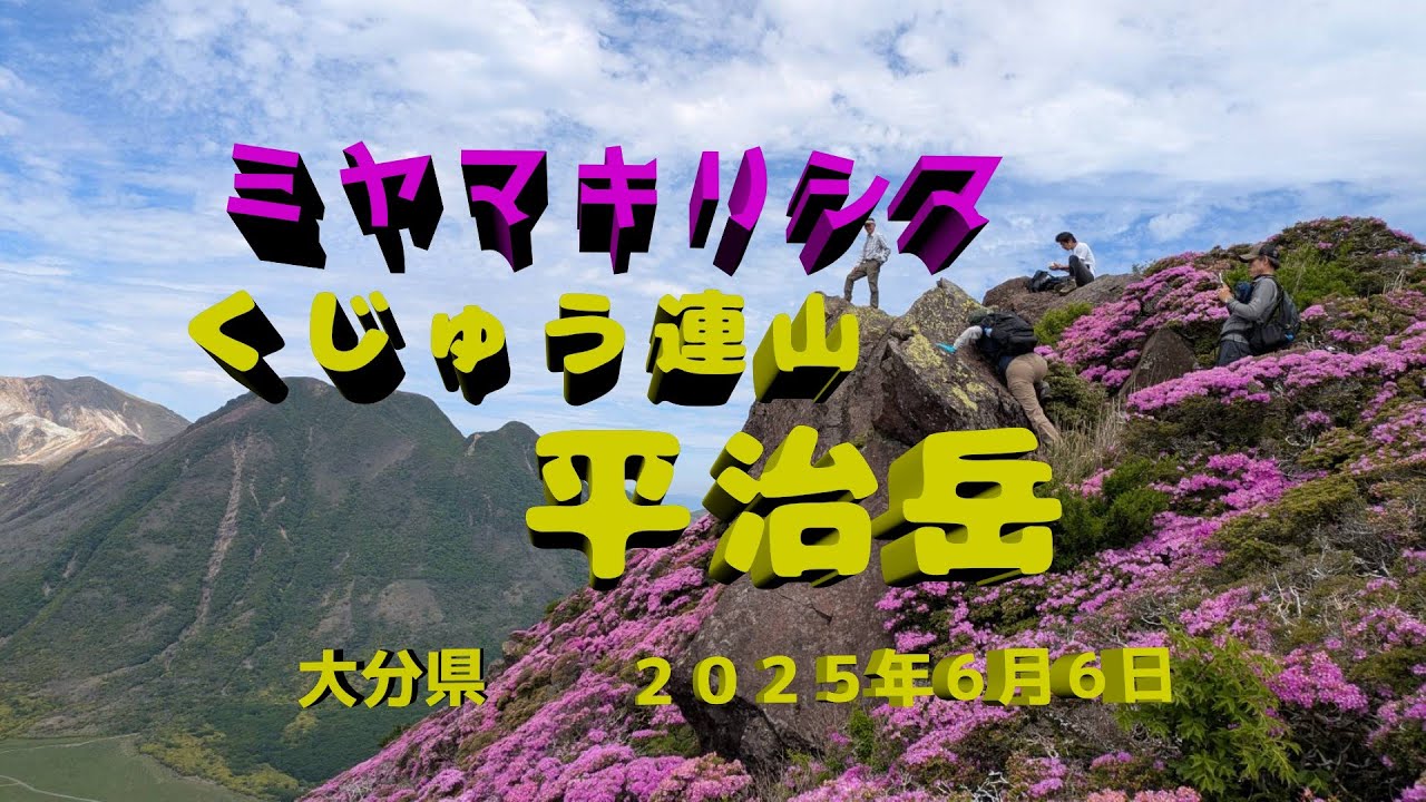 2025/06/06 平治岳 ミヤマキリシマ