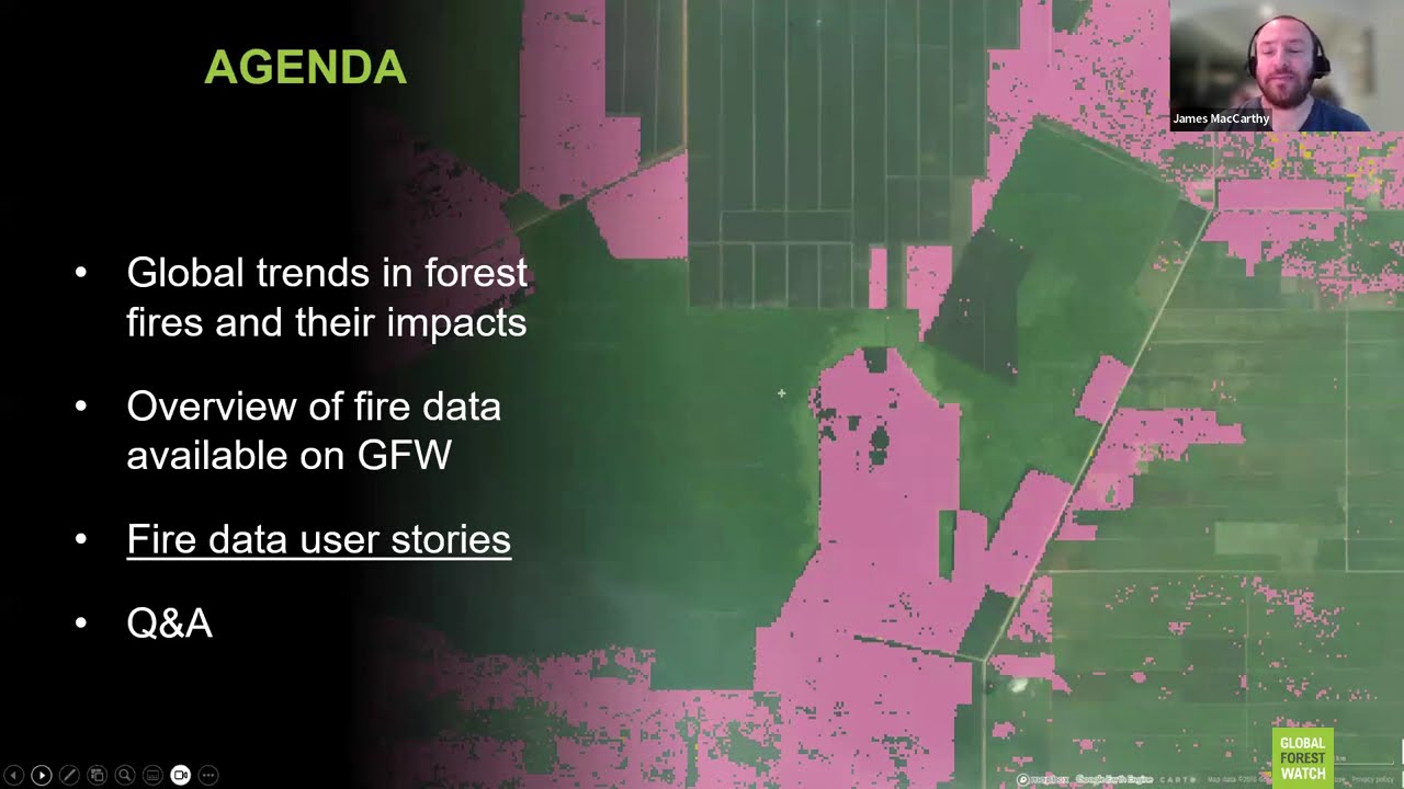 Unlocking the Power of Fire Data: Monitoring Active Fires and Understanding Historical Trends