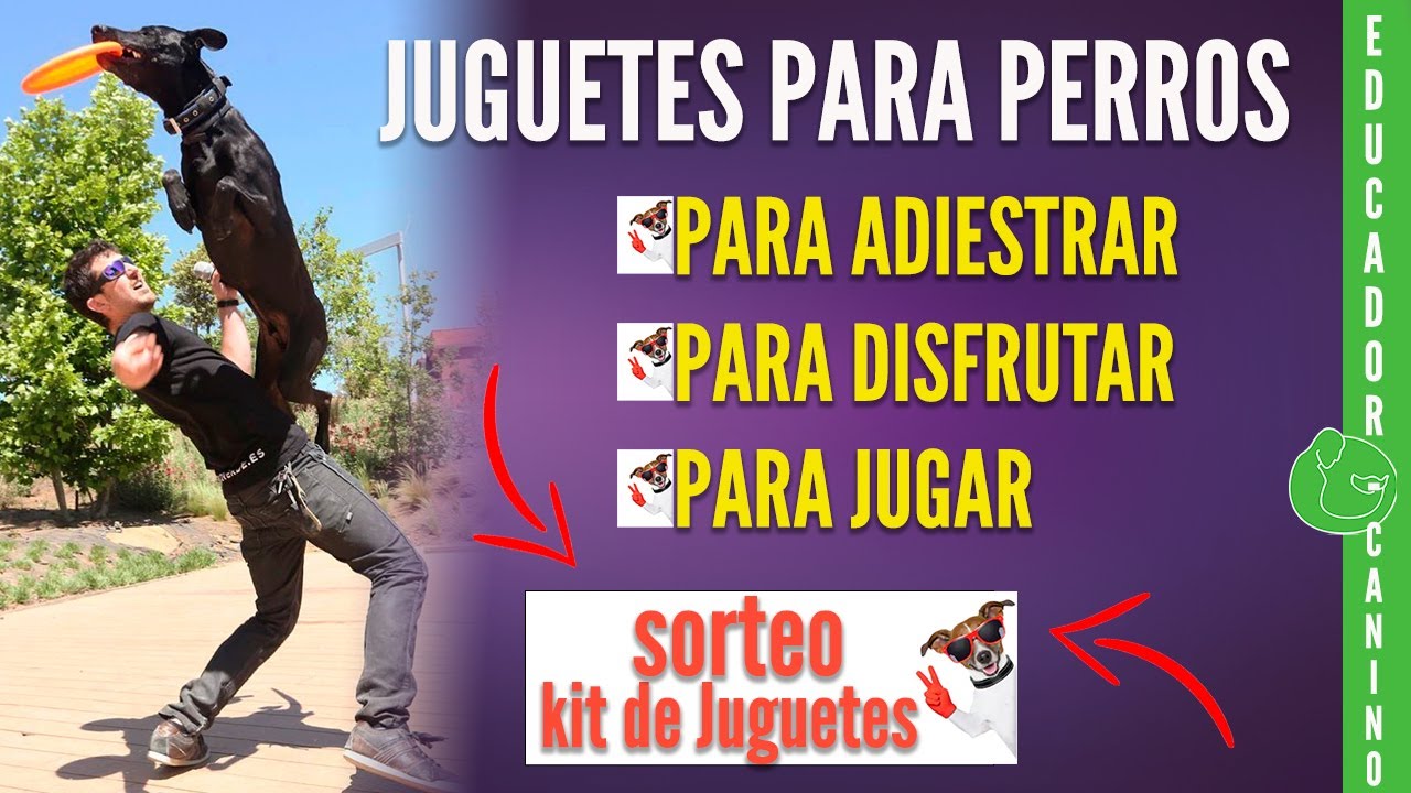 JUGUETES para PERROS